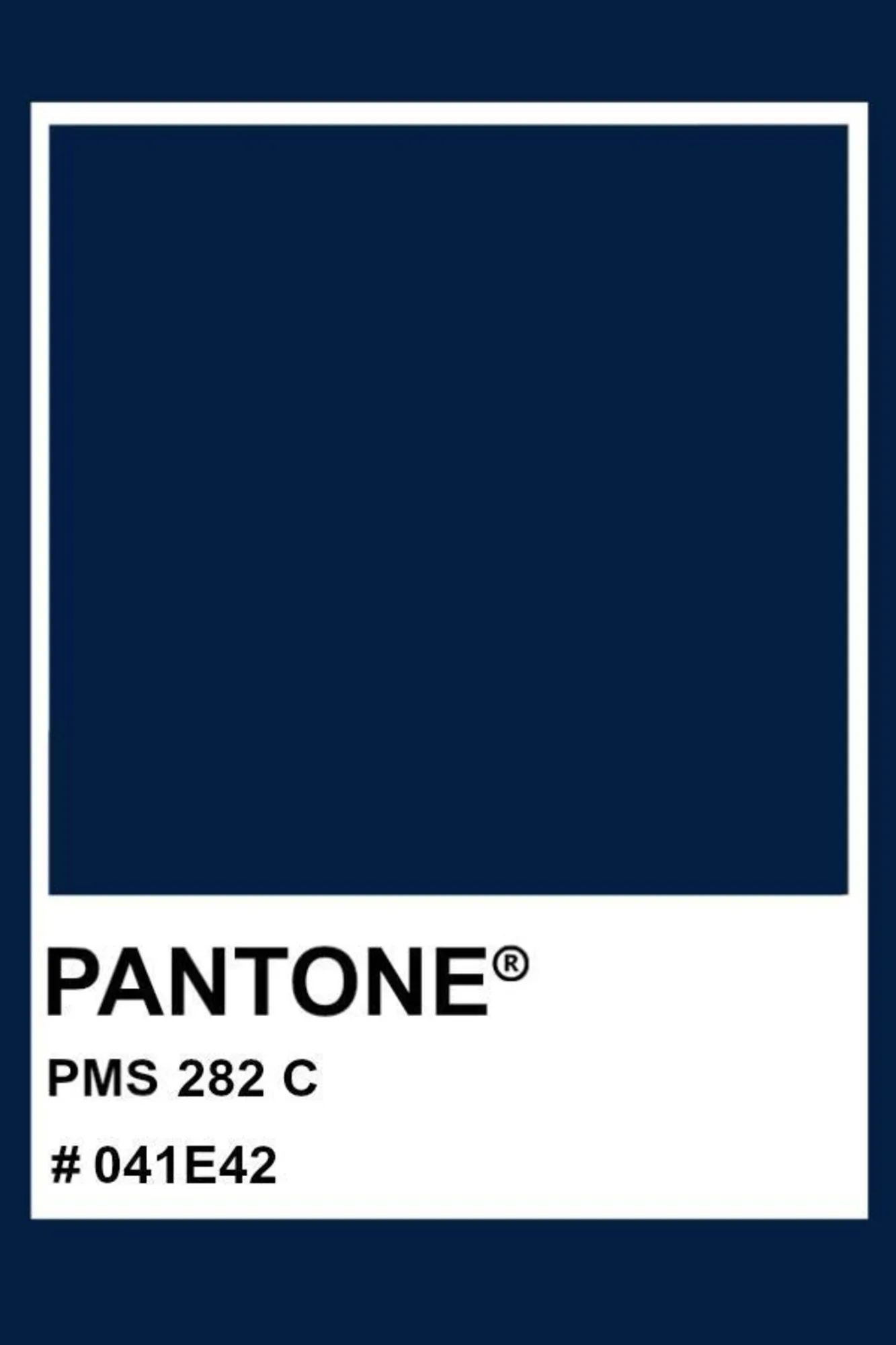 Pantone swatch showing PMS 282 C in a deep navy blue with hex code #041E42.