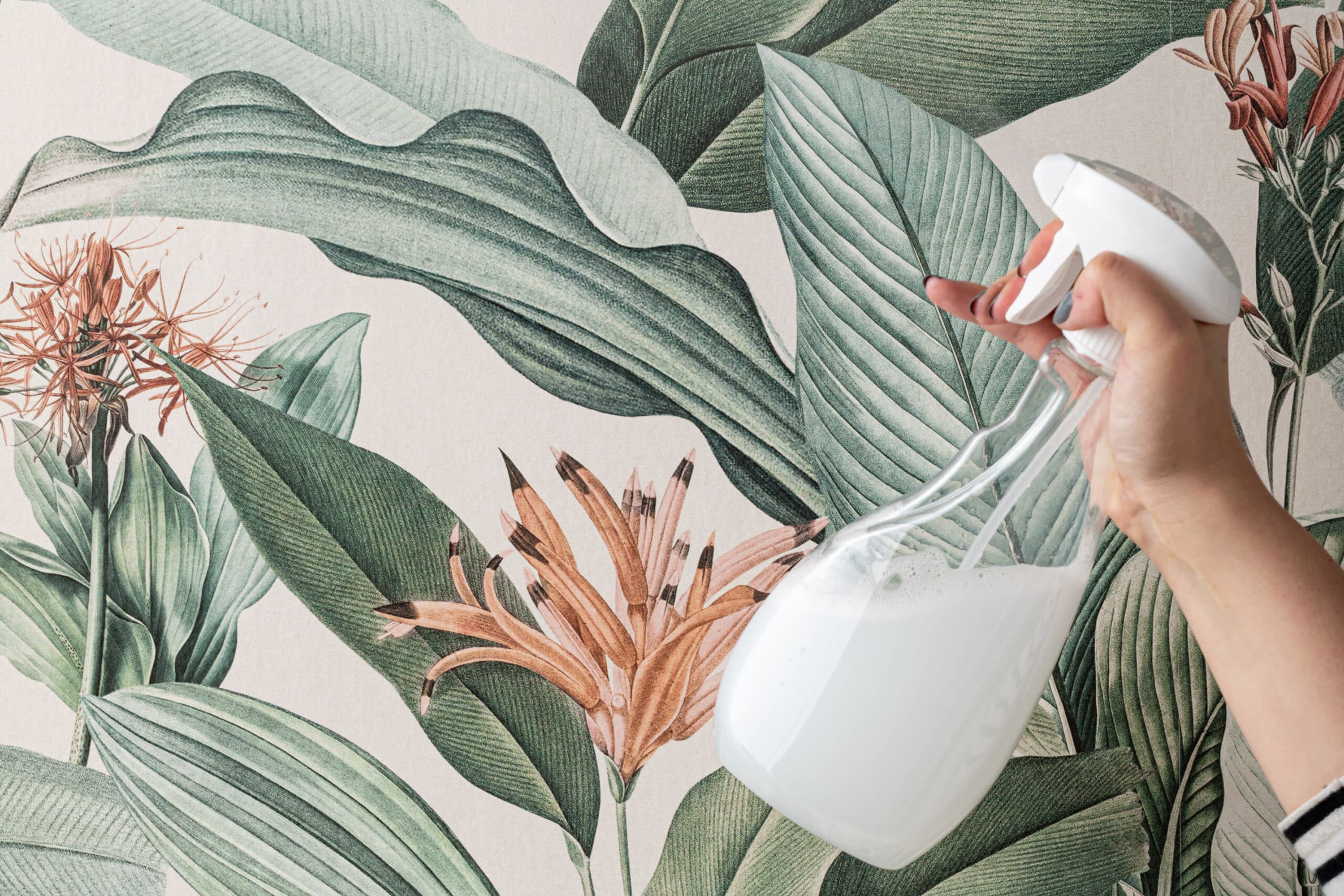 A person sprays soapy water onto a wall covered with green tropical leaf wallpaper.