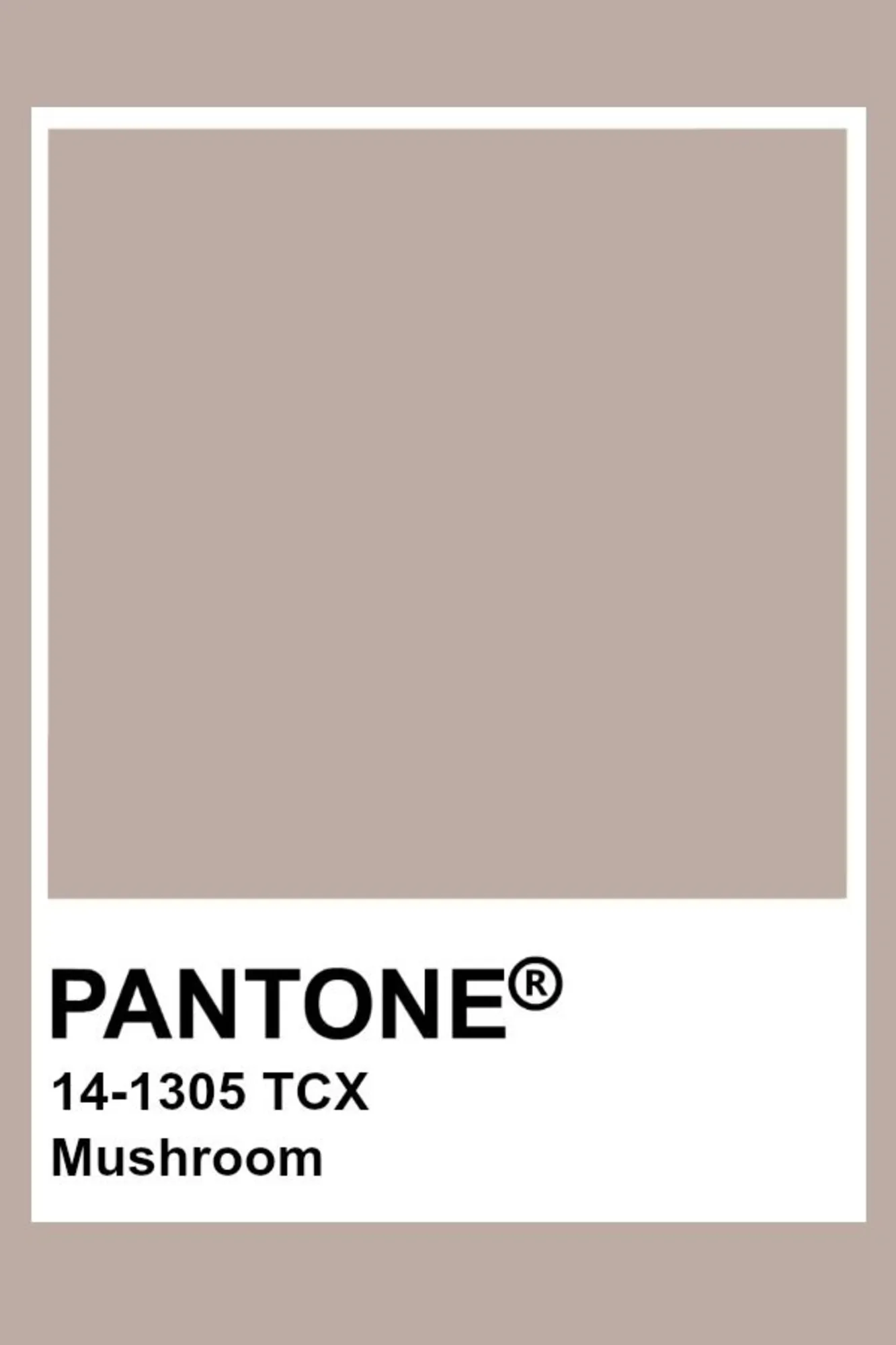 Pantone swatch displaying 14-1305 TCX Mushroom, a soft taupe color.