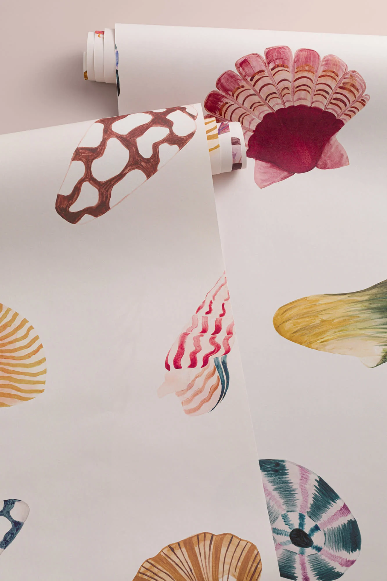 Seashell wallpaper rolls on pale background with colorful shell illustrations