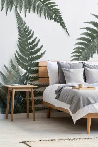 deliciosa monstera Monstera Deliciosa – Swiss Cheese Plant main image 0