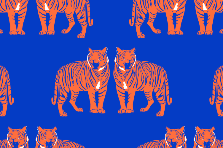 青い背景のトラ - (Blue Background Tiger ) Blue Big Cat Tiger Roar Pattern Wallpaper - Hovia