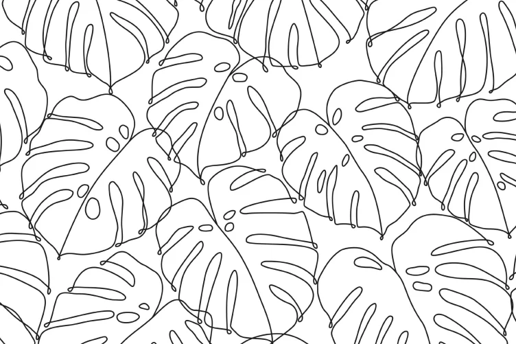 Black & White Monstera Leaf Pattern Wallpaper - Hovia