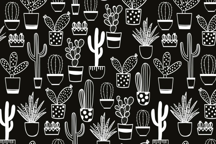 Black & White Nave Cactus Pattern Wallpaper - Hovia