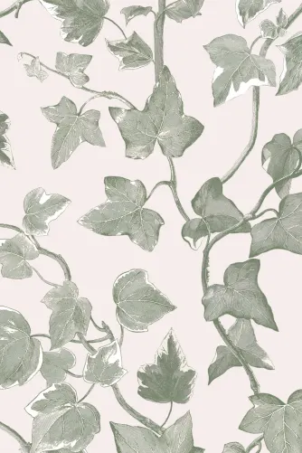 Weie Vintage-Efeu Tapete - Hovia