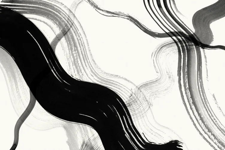 Black Abstract Ink Brush Strokes Mural - Hovia