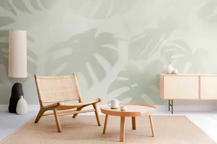 Salbei Grn Monstera Blatt Schatten Fototapete - Hovia