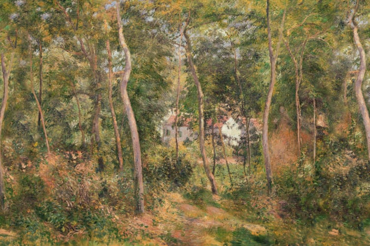 Classic Woodland Oil Painting Mural - Hovia