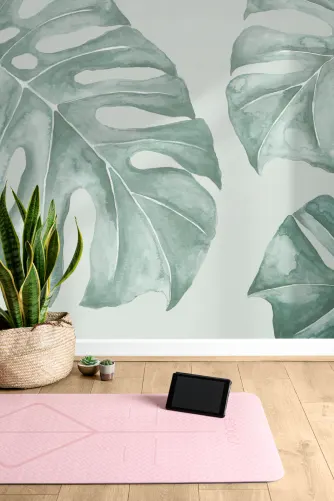 florida beauty green philodendron Philodendron Florida Beauty x polypodioides main image 1