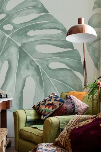 monstera torffreie erde Monstera Erde