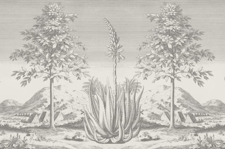 Graue Botanische Natur Tapete - Hovia - Hovia
