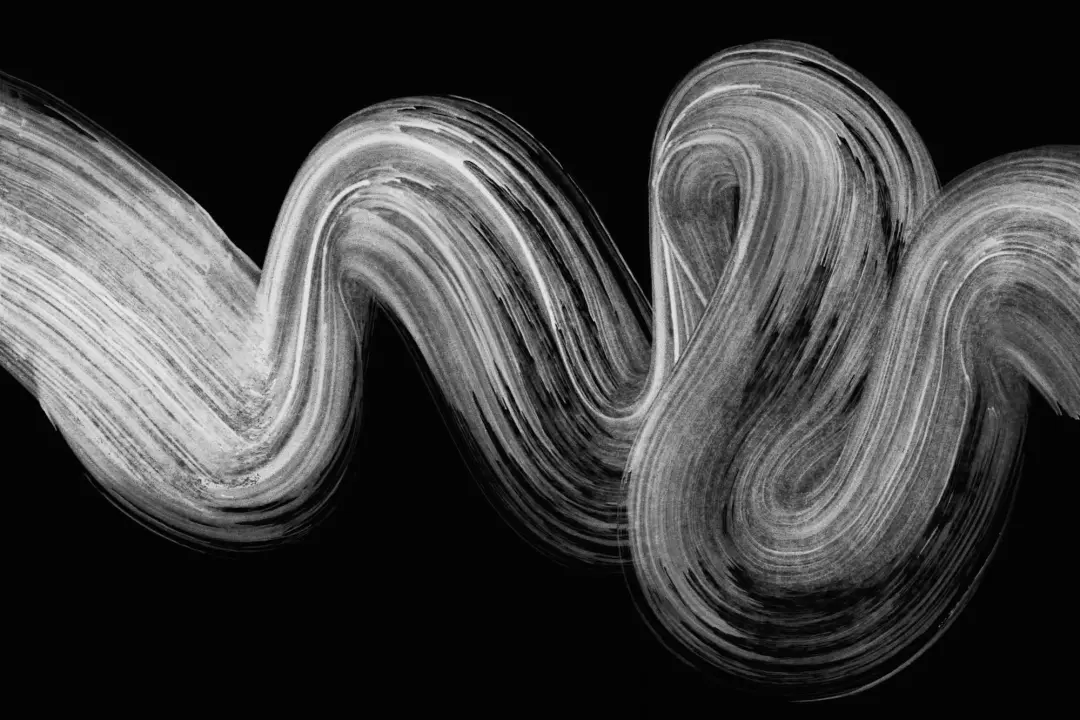 Black Paint Brush Stroke Squiggle Wallpaper Mural