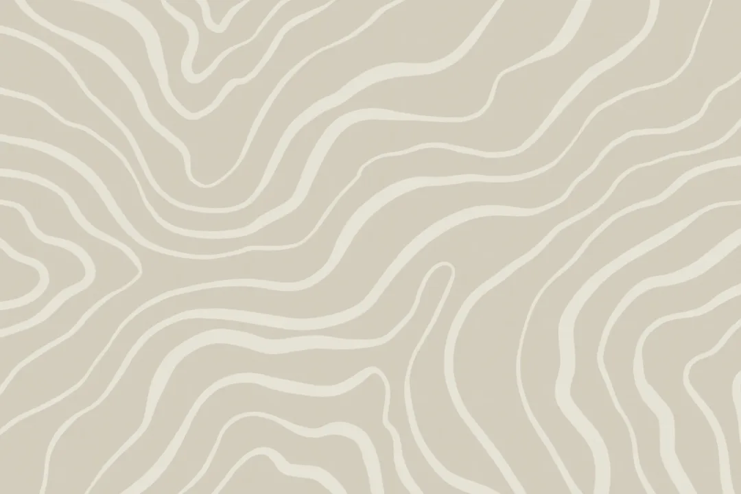 Neutral Tone Modern Abstract Lines Wallpaper Mural