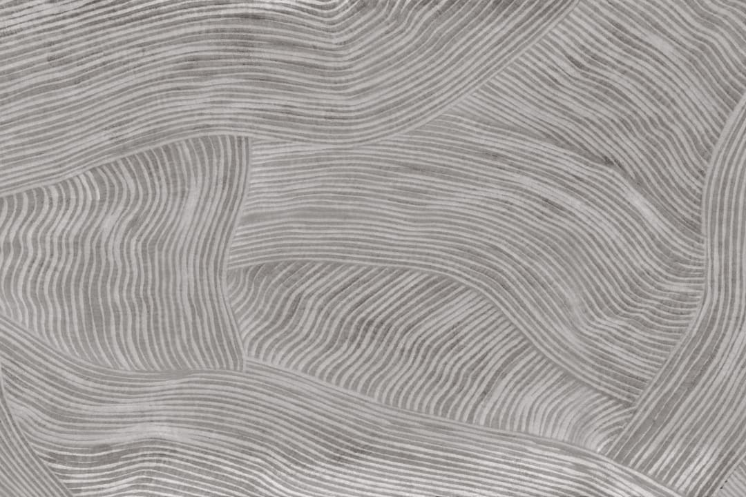 Papier Peint Panoramique de formes courbes et fluides grises