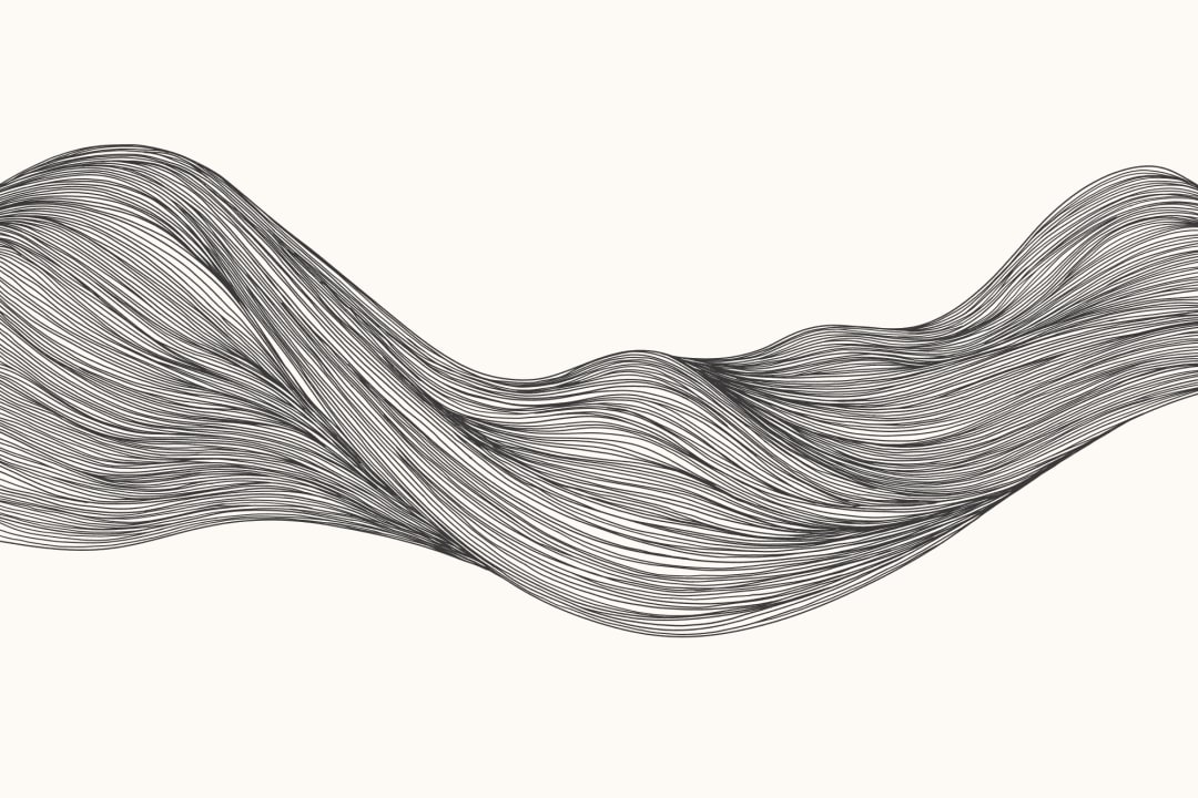 Monochrome Wavy Line Abstract Mural