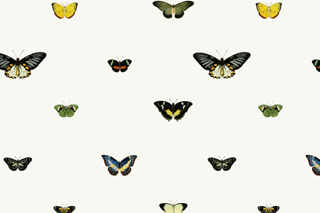 Vintage Butterfly Wallpaper Mural