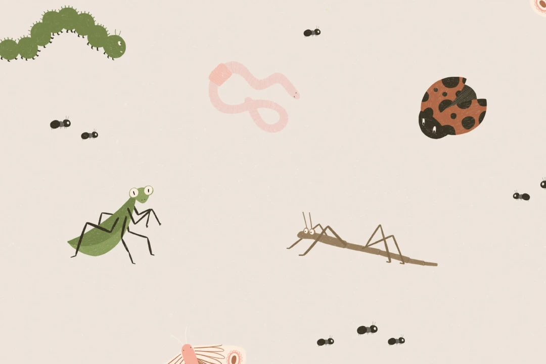 Papel Pintado Ilustraciones para Niños con Motivo de Insectos