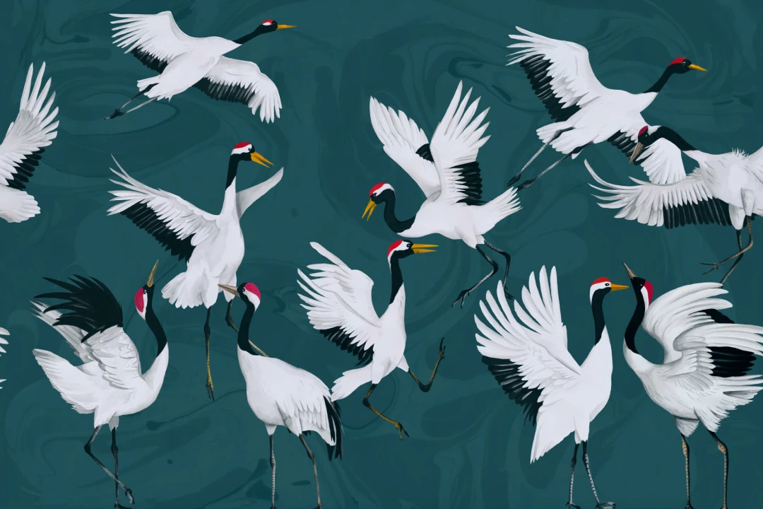Papier Peint Panoramique Bleu Canard Grues Japonaises
