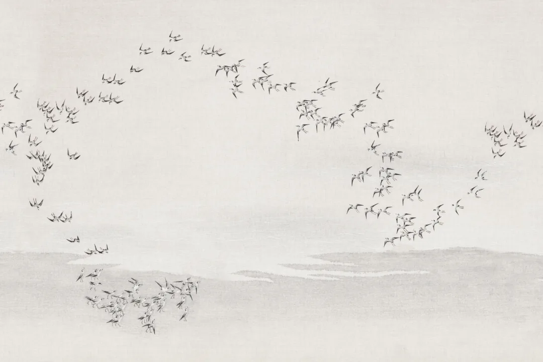 Grey Flocking Birds Minimalist Nature Artistic Mural