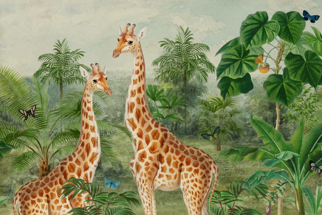 Mural con ilustración de jirafa tropical vintage