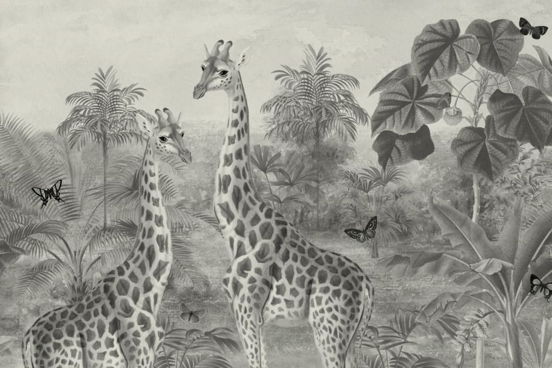 Murală cu ilustrație cu girafe tropicale de epocă gri