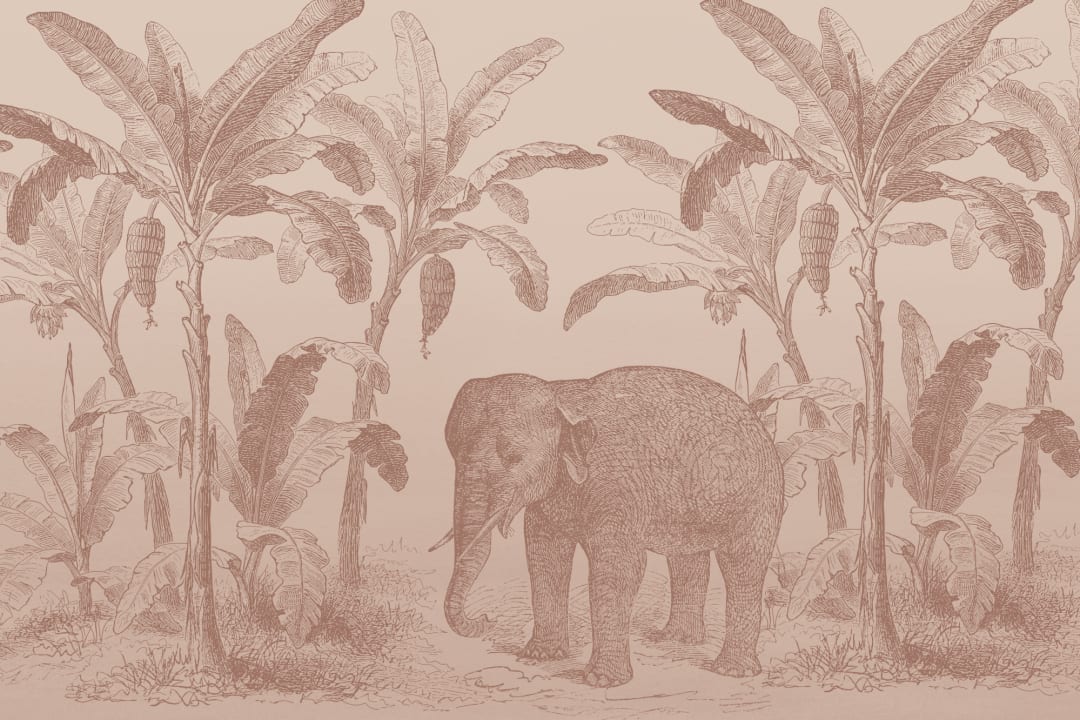 Mural de papel pintado Terracota Explorador antiguo Elefante