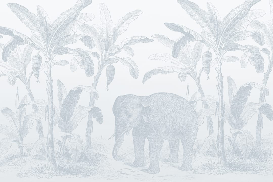 Blå Årgång Utforskare Elefant Mural-Tapeter