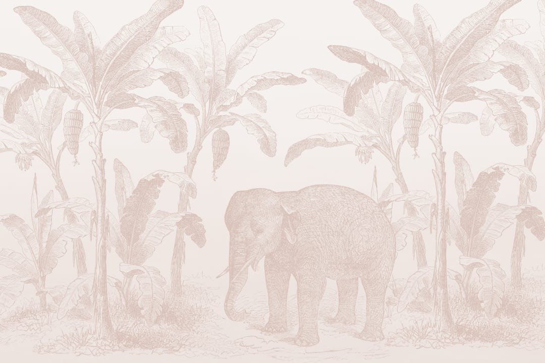 Mural de papel pintado Elefante Explorador antiguo Rosa