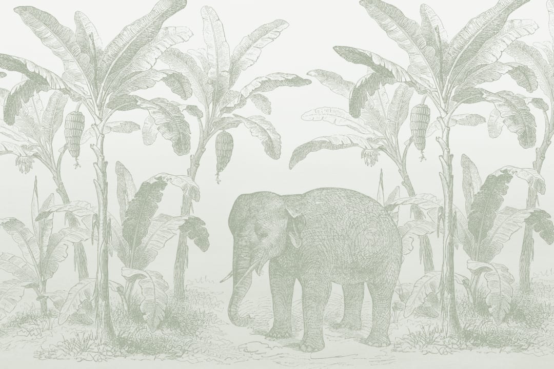 Sage Green Vintage Explorer Elephant Wallpaper Mural