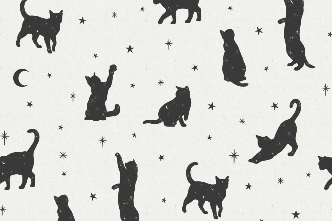 Mural Papel Pintado Blanco y Negros con Motivo de Gatos y Estrellas