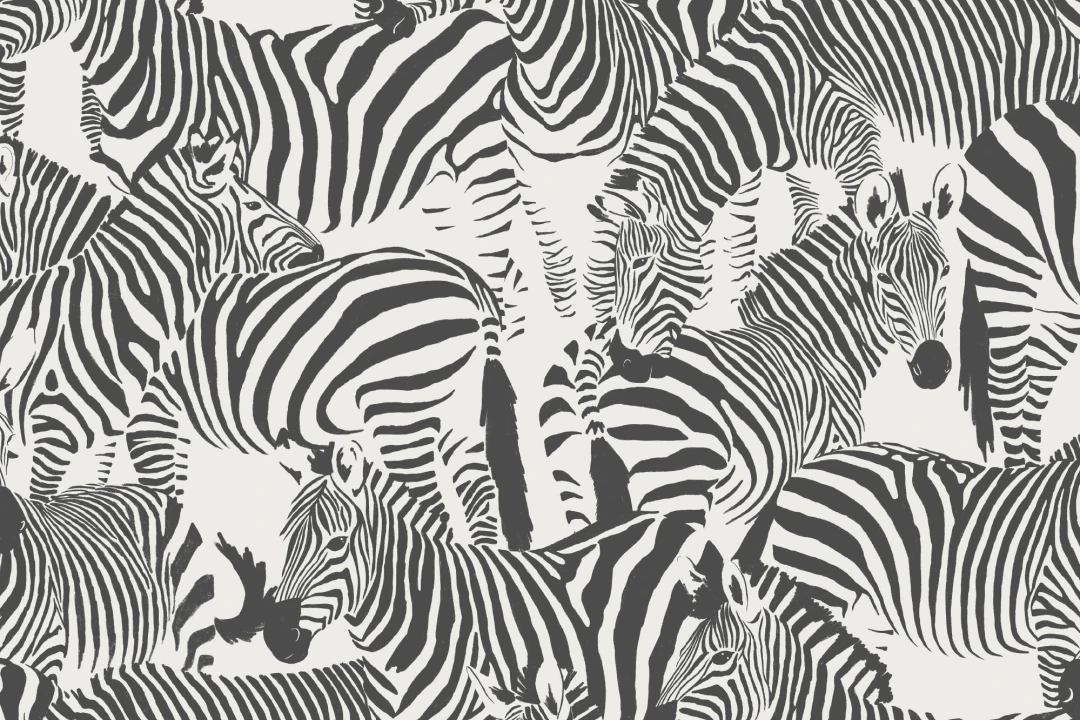 Black and White Zebra Animal Modern Repeat Pattern Wallpaper