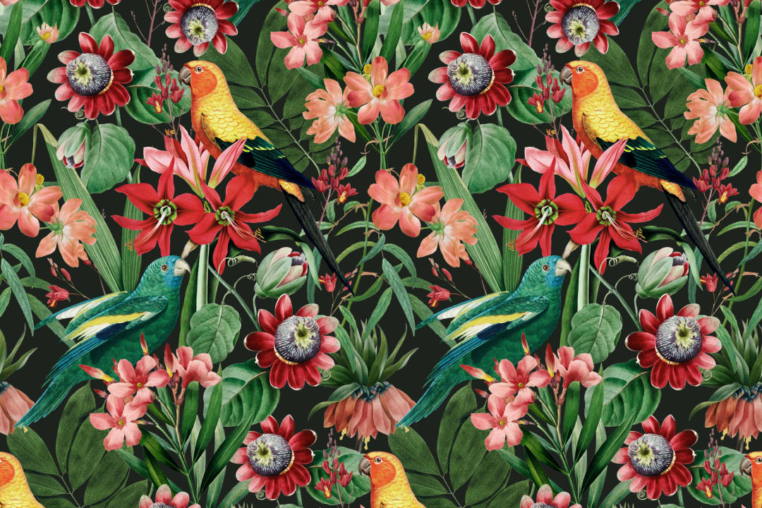 Multicolor Tropical Leaves, Florals and Parrots Wallpaper