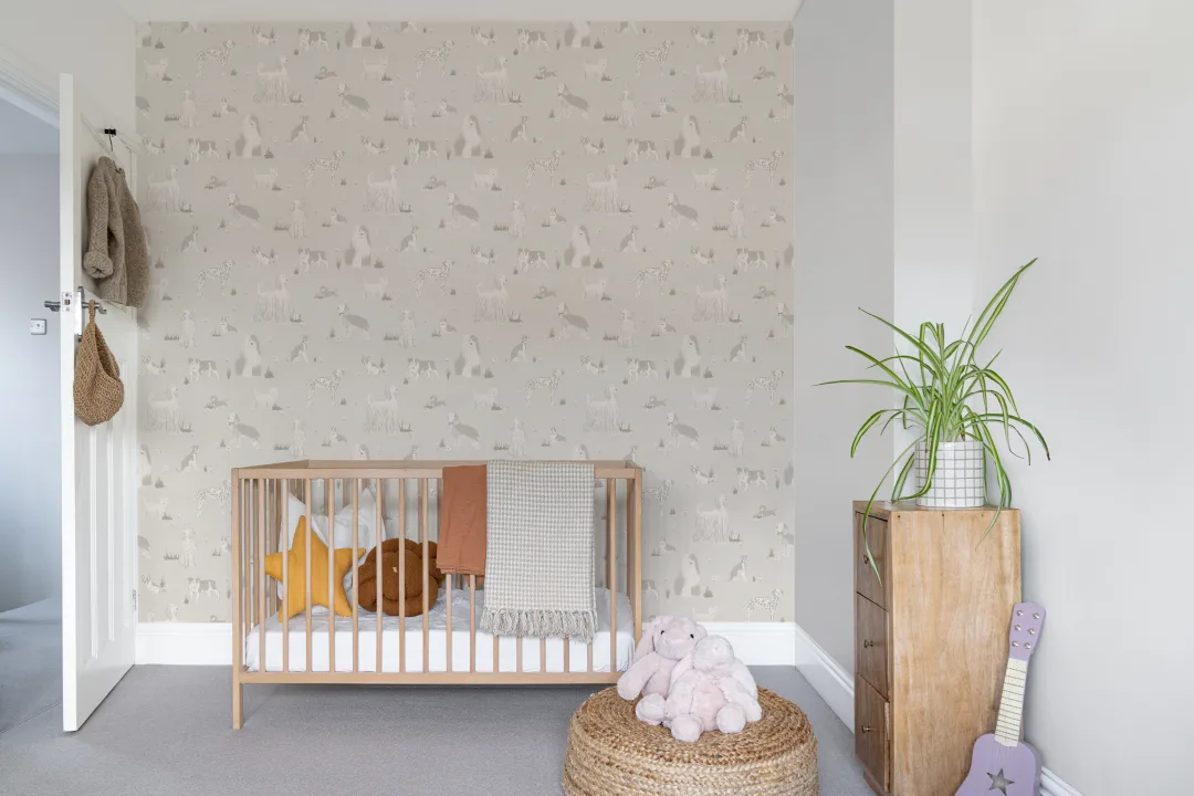 Grey Playful Dogs Animal Mural