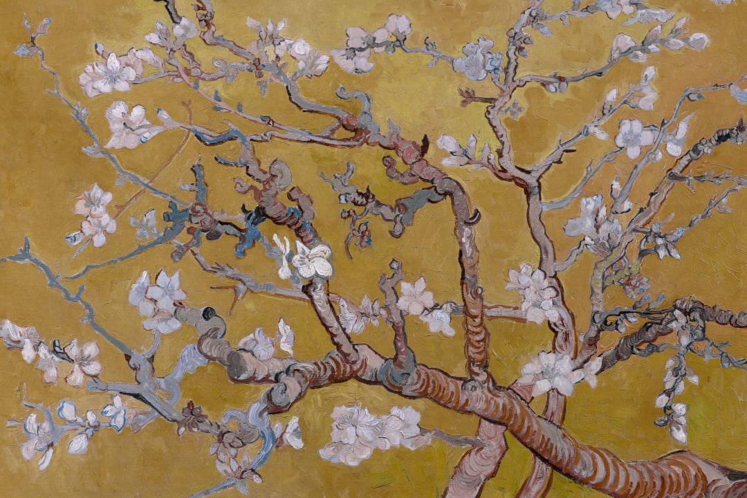 Customized Almond Blossom by Vincent Van Gogh Wallpaper Mural