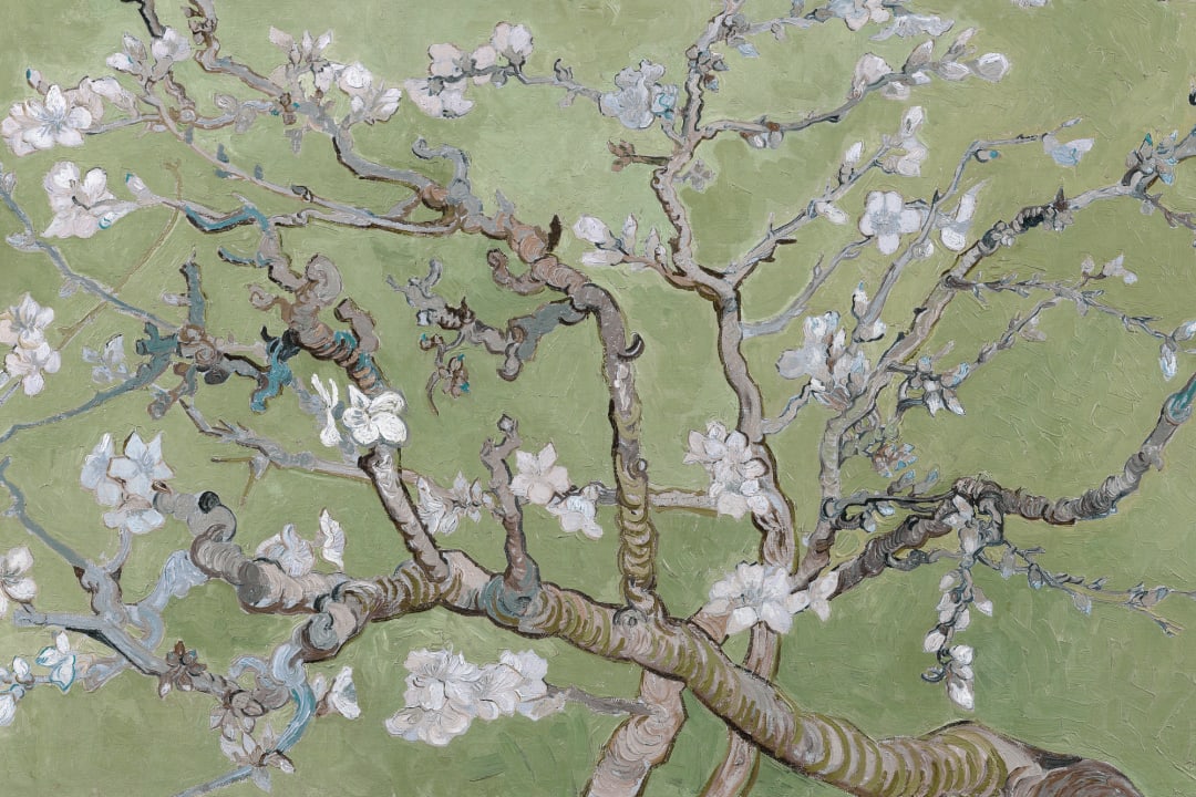Carta da parati di Vincent Van Gogh sul mandorlo verde in fiore