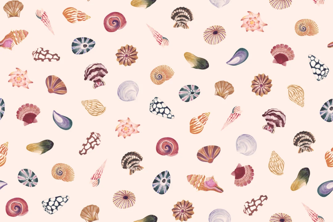 Colorful Seashell Wallpaper Mural