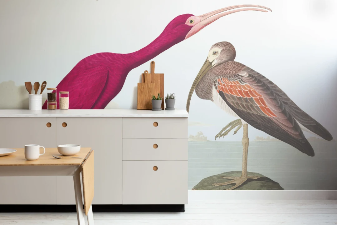 Scarlet Ibis fototapet