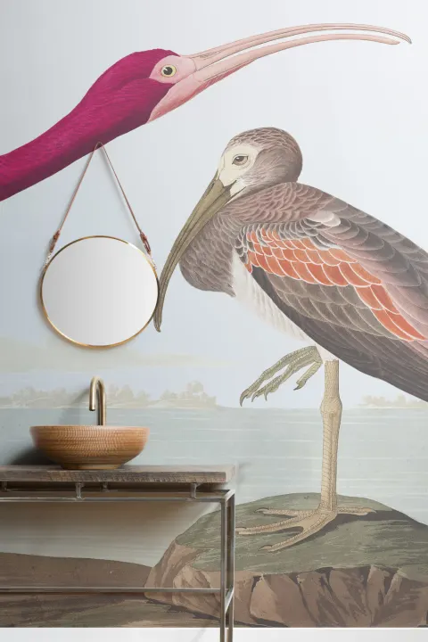 Mural Papel Pintado Ibis Escarlata