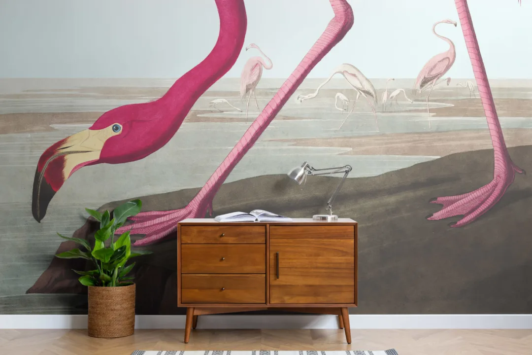 Pink Flamingo by J.J. Audubon Wallpaper Mural