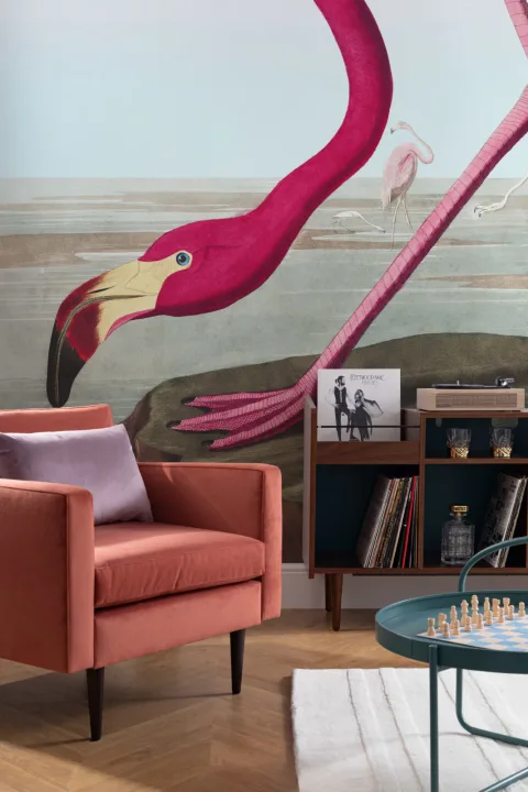 Fototapeta z różowym flamingiem od J.J. Audubon