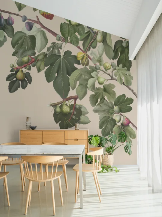 Vintage Fig Plant Botanisk illustrasjon fototapet på nøytral beige bakgrunn