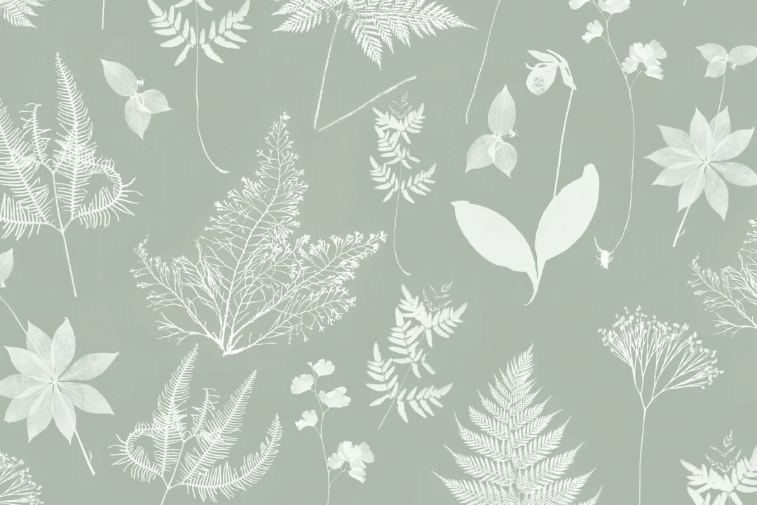 Green Botanical Plant Wallpaper