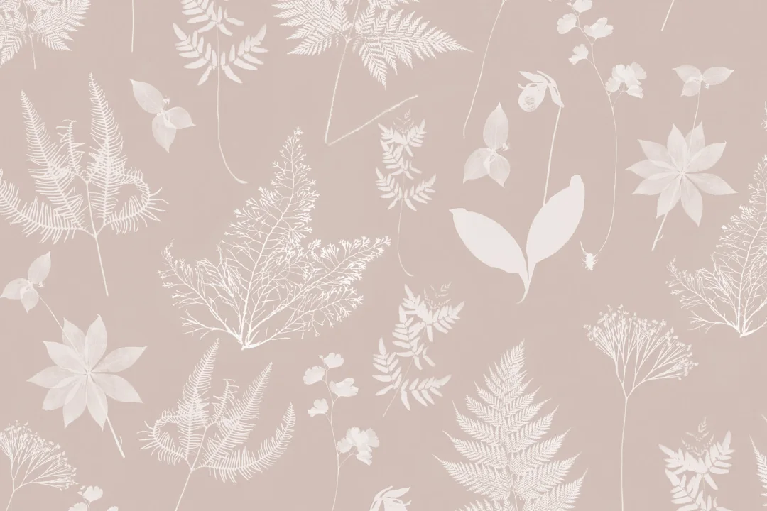Pink Botanical Plant Wallpaper