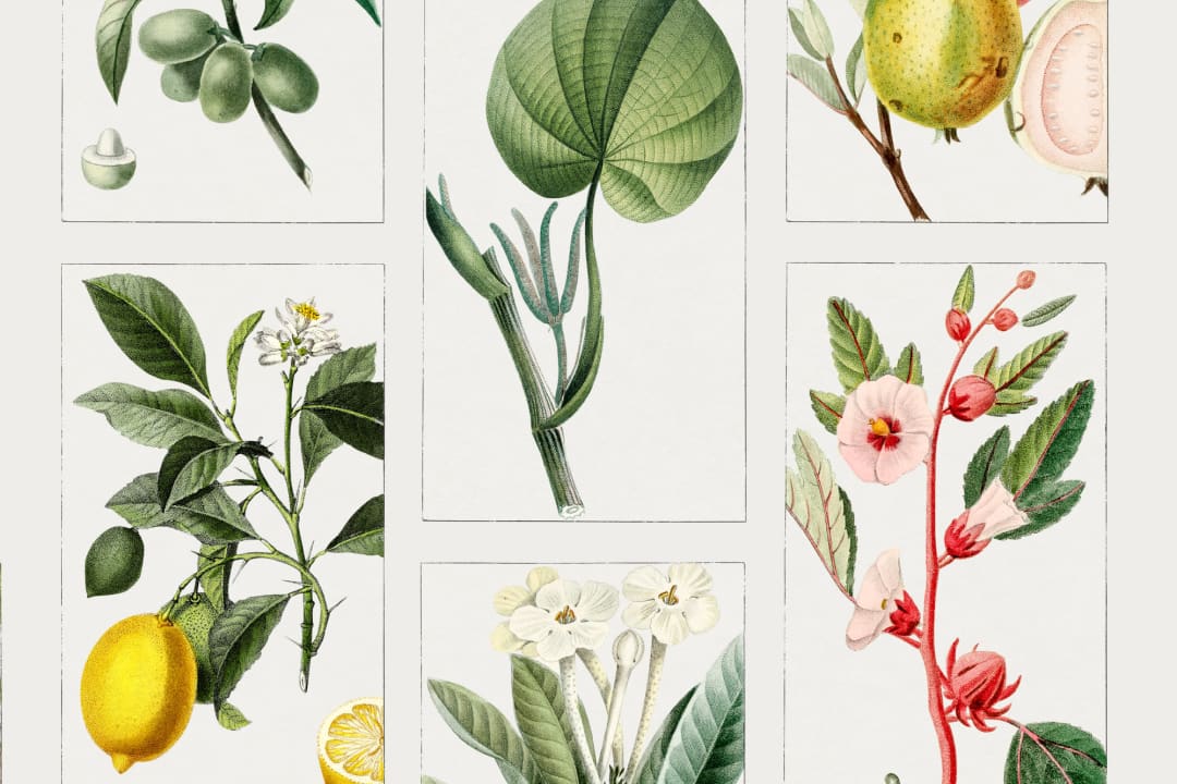 Botanical Fruits and Flowers Tile Pattern Wall Mural