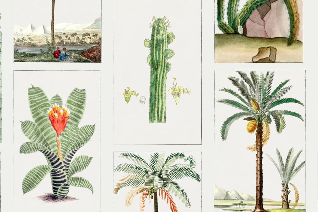 Botanical Plants Tile Pattern Wall Mural