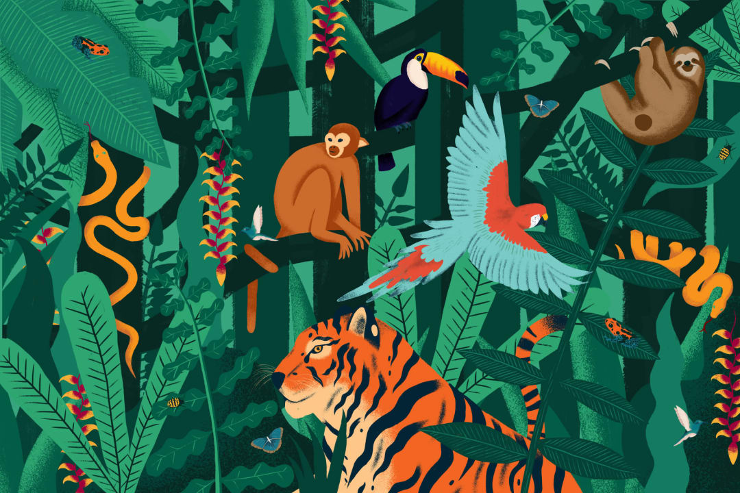 Mural Papel Pintado Animales de la Selva