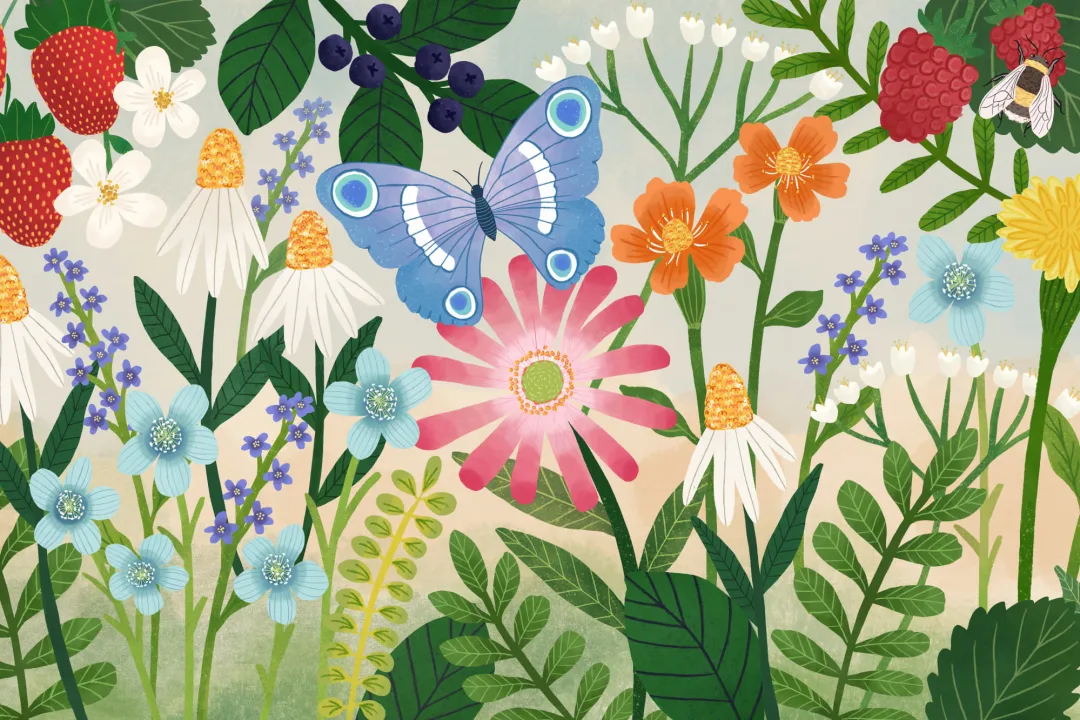 Kids Illustrated Floral Garden Mural