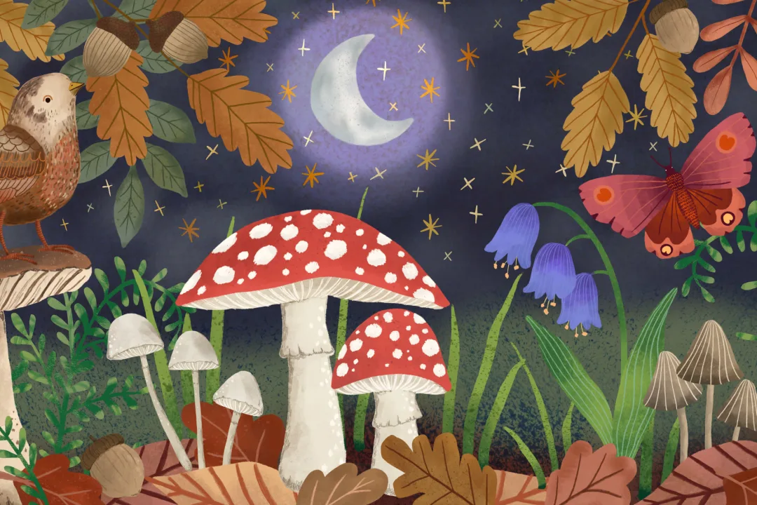 Mural de Setas y Noche de Otoño