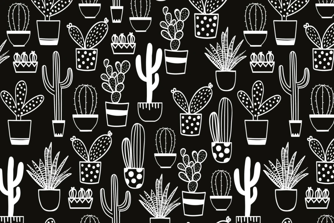 Naïve Cactus Black & White Repeat Pattern Wallpaper