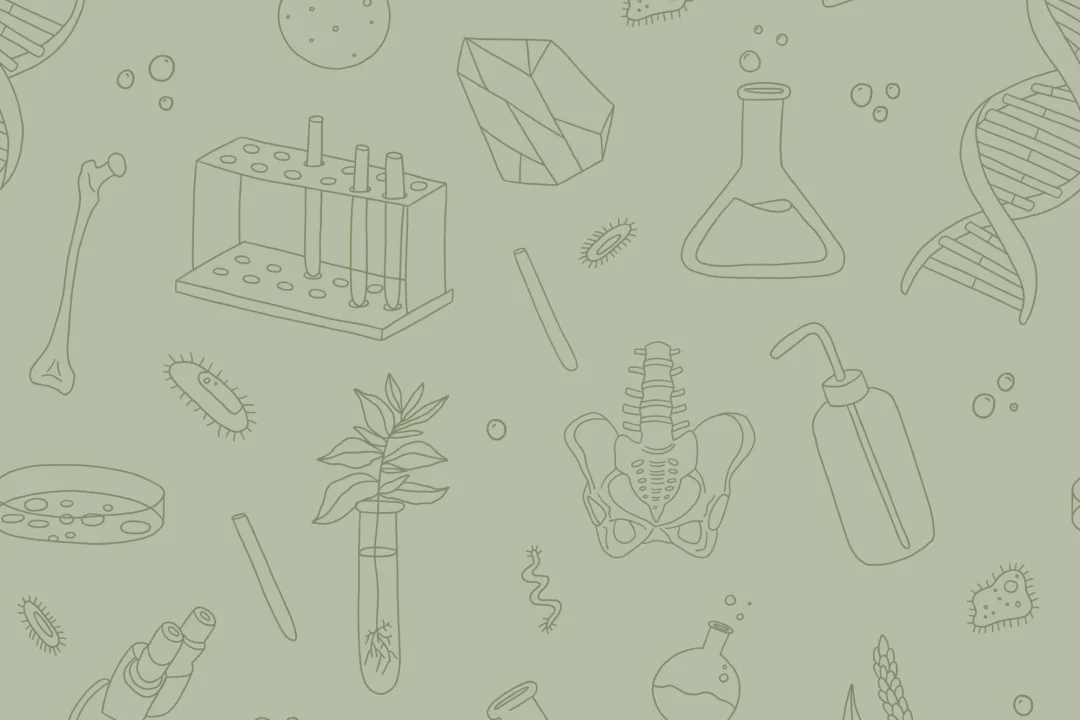 Mural Papel Pintado Verde con Ilustraciones de Ciencias